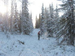 R�jningsarbetare 2